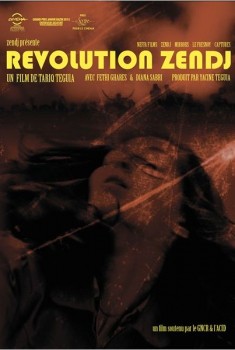 Révolution Zendj (2013)