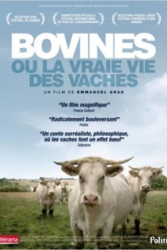Bovines (2011)