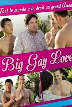 Big Gay Love (2013)