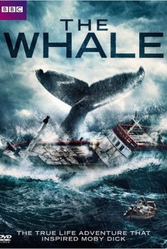 The Whale (2013)